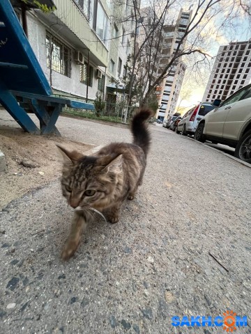 photo_2024-04-10_22-32-52