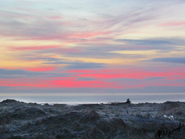 Розовый рассвет.
Фотограф: alexei1903
Восход над заливом Терпения.Г.Поронайск

Просмотров: 2606
Комментариев: 0