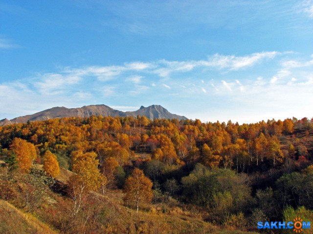 IMG_0272-к

Просмотров: 683
Комментариев: 0