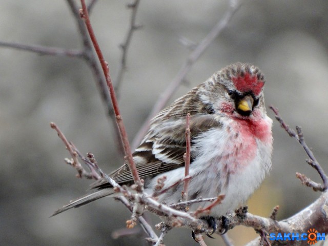 DSC03604

Просмотров: 743
Комментариев: 3