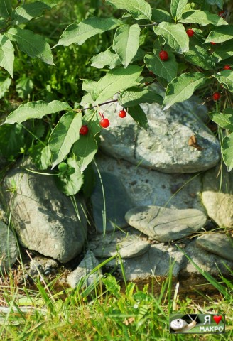 ***
Фотограф: Сергей Буркацкий

Просмотров: 1065
Комментариев: 0