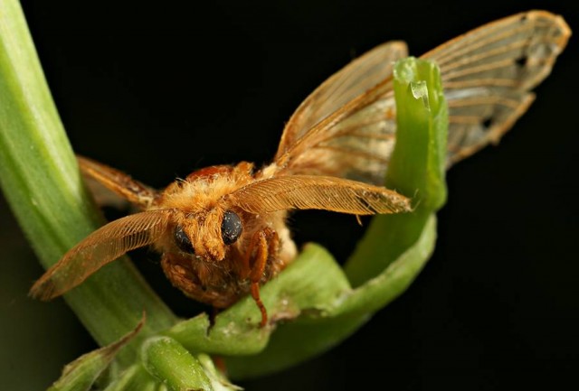 DSC01977
Фотограф: Сергей Буркацкий

Просмотров: 472
Комментариев: 0