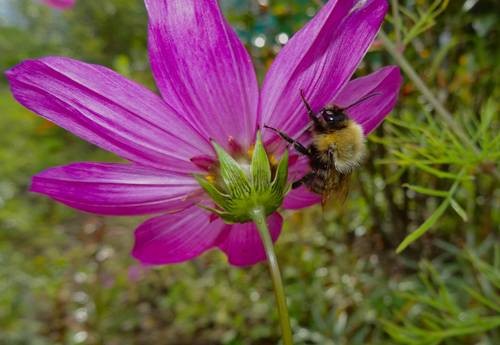 thumb_DSC04225_1024
Фотограф: Сергей Буркацкий

Просмотров: 421
Комментариев: 0