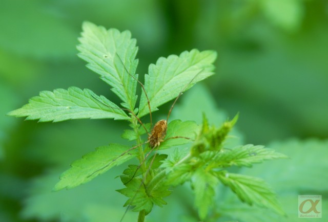 ***
Фотограф: Сергей Буркацкий

Просмотров: 777
Комментариев: 0