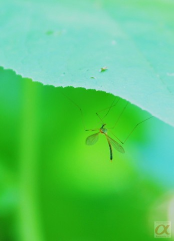 ***
Фотограф: Сергей Буркацкий

Просмотров: 756
Комментариев: 0