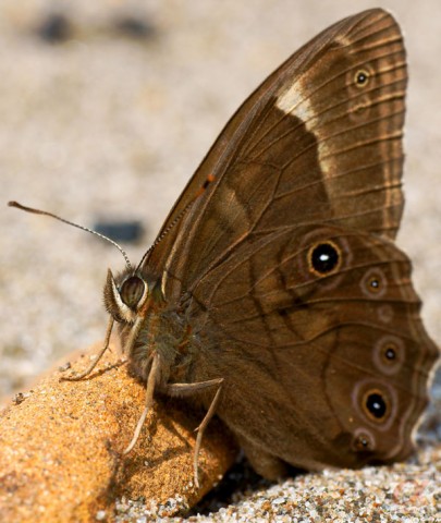 ***
Фотограф: Сергей Буркацкий

Просмотров: 781
Комментариев: 0