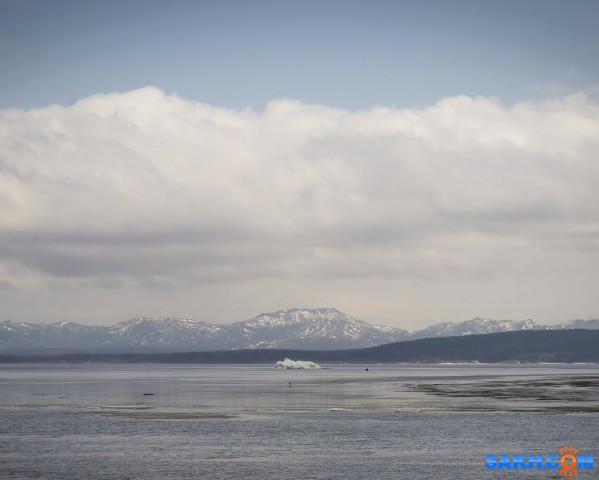 фффDSC_3567