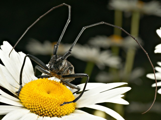 DSC01750
Фотограф: Сергей Буркацкий

Просмотров: 330
Комментариев: 0