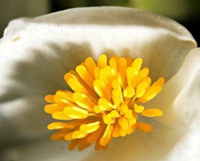 DSC05491
Фотограф: Сергей Буркацкий

Просмотров: 391
Комментариев: 0