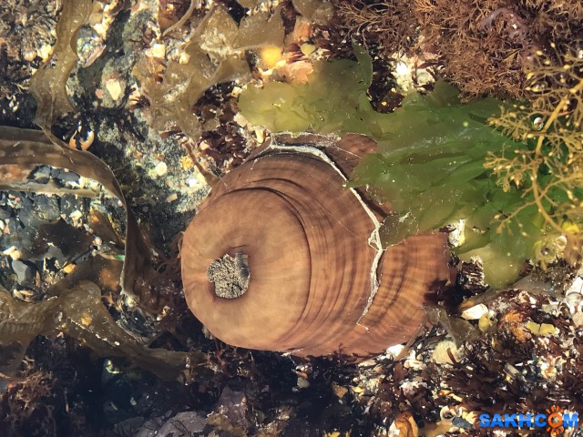 CC3EA8CF-FE2F-4AEB-8B30-737A05F39632
Фотограф: Tsygankov Yuriy

Просмотров: 1527
Комментариев: 0