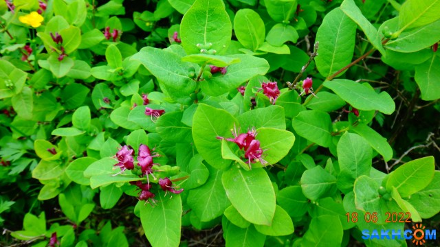 DSC09782

Просмотров: 408
Комментариев: 0