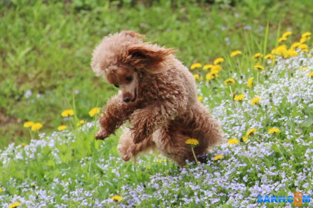 В парке

Просмотров: 689
Комментариев: 0