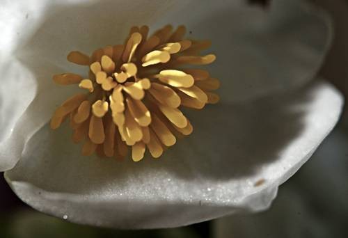 DSC05489
Фотограф: Сергей Буркацкий

Просмотров: 371
Комментариев: 0