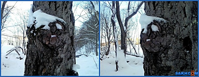 MyCollages

Просмотров: 442
Комментариев: 0