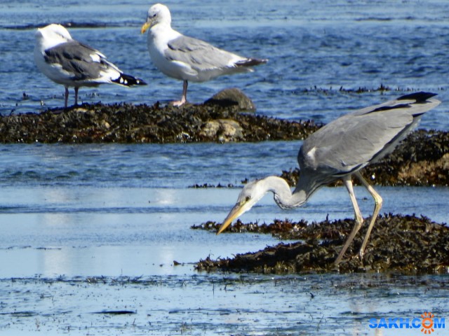 DSC03178_н

Просмотров: 720
Комментариев: 0