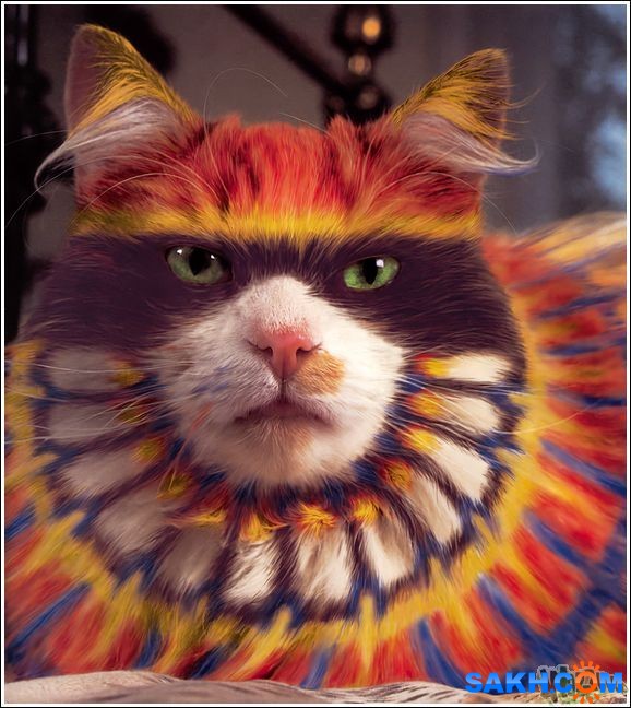 8
Фотограф: synthetic

Просмотров: 230
Комментариев: 0