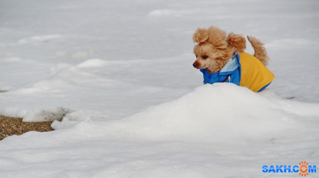 Почти Афродита

Просмотров: 468
Комментариев: 0