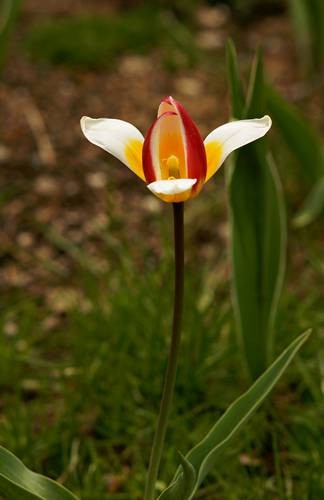 DSC04914
Фотограф: Сергей Буркацкий

Просмотров: 489
Комментариев: 0