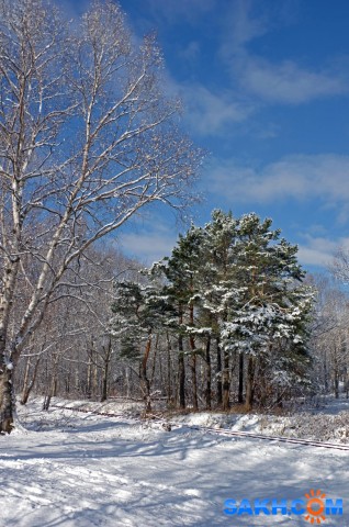 024-к

Просмотров: 741
Комментариев: 0