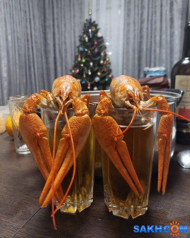 С новым годом!
Фотограф: фотохроник

Просмотров: 25
Комментариев: 0
