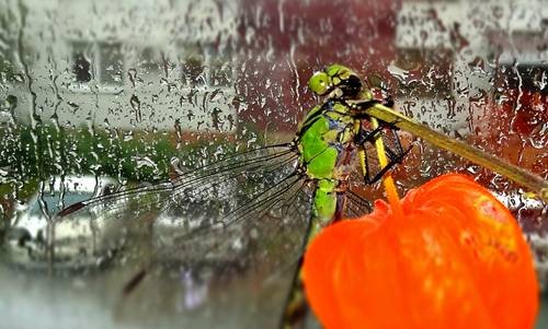 DSC04467
Фотограф: Сергей Буркацкий

Просмотров: 596
Комментариев: 0