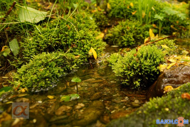 ***
Фотограф: Сергей Буркацкий

Просмотров: 1074
Комментариев: 0