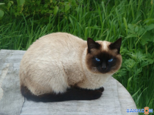 DSC03272

Просмотров: 4471
Комментариев: 0