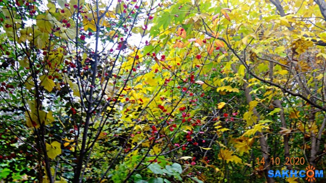 DSC08009

Просмотров: 395
Комментариев: 0