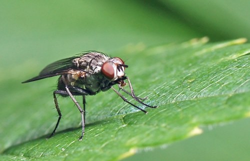 DSC07493
Фотограф: Сергей Буркацкий

Просмотров: 588
Комментариев: 0