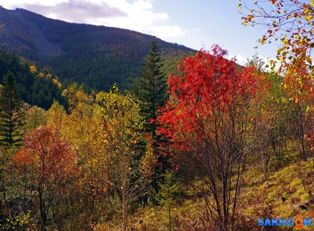 161-к

Просмотров: 876
Комментариев: 0