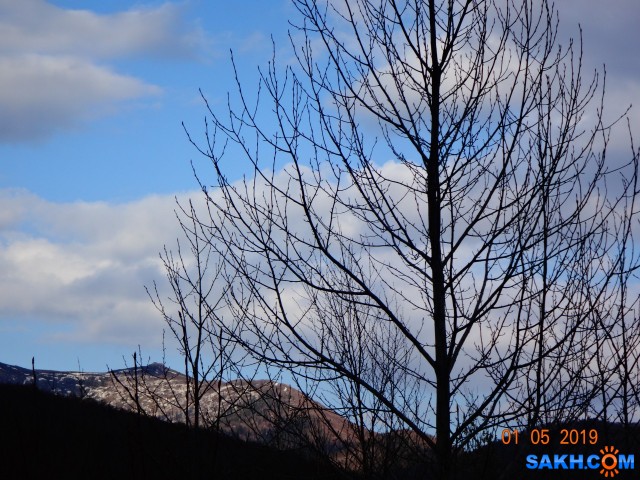 DSC05784

Просмотров: 769
Комментариев: 0