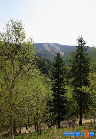 069-1

Просмотров: 473
Комментариев: 0