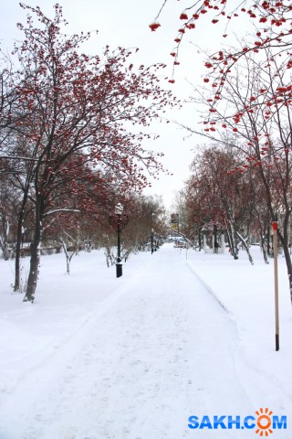 5
Фотограф: 11m

Просмотров: 304
Комментариев: 0