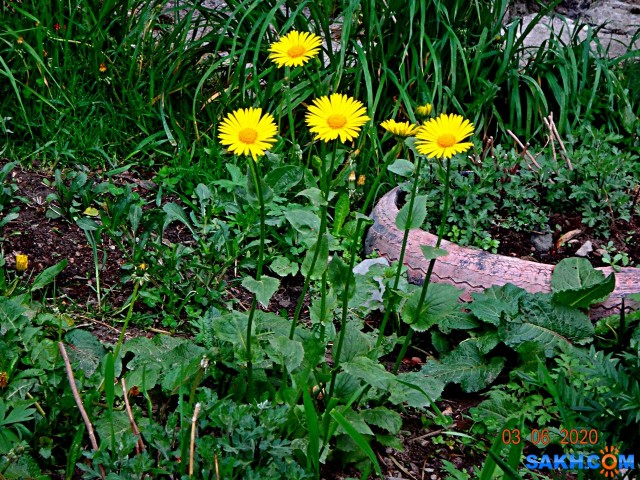DSC00915

Просмотров: 731
Комментариев: 0