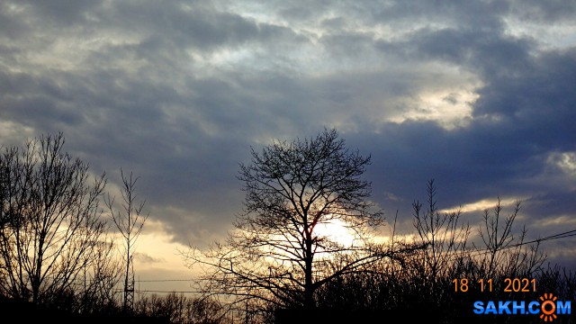 DSC07532