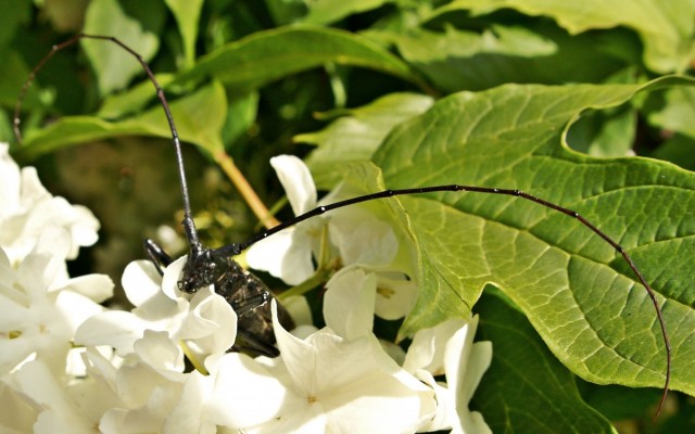 DSC01619
Фотограф: Сергей Буркацкий

Просмотров: 593
Комментариев: 0