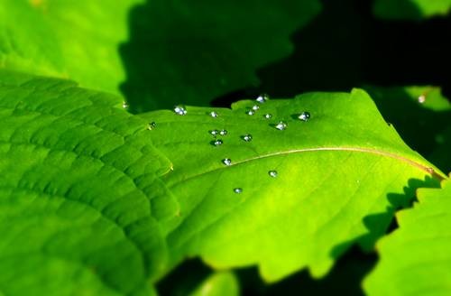 DSC00132
Фотограф: Сергей Буркацкий

Просмотров: 365
Комментариев: 0