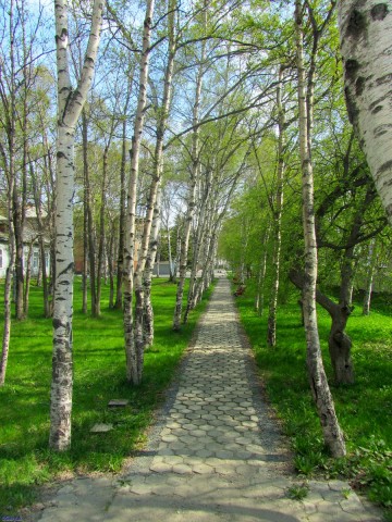 Прозрачная аллея
Фотограф: АС-2й

Просмотров: 1608
Комментариев: 1