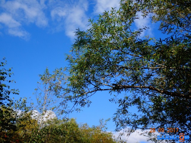 DSC06563