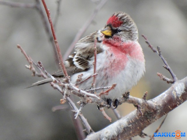 DSC03602

Просмотров: 598
Комментариев: 2