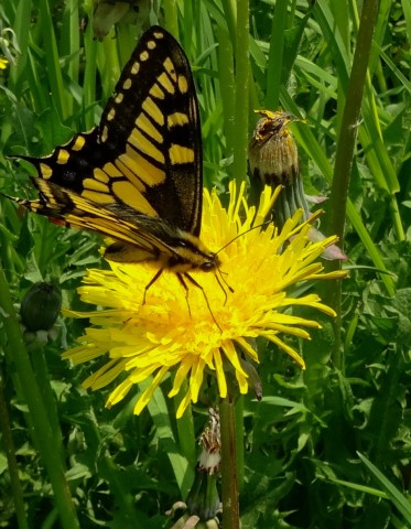 DSC01519
Фотограф: Сергей Буркацкий

Просмотров: 523
Комментариев: 0