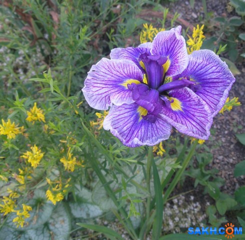 Foto 5

Просмотров: 297
Комментариев: 0