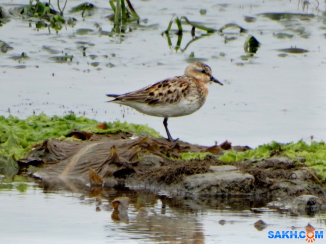 DSC06483

Просмотров: 371
Комментариев: 0