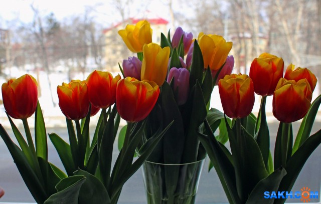 047-1-к

Просмотров: 861
Комментариев: 0