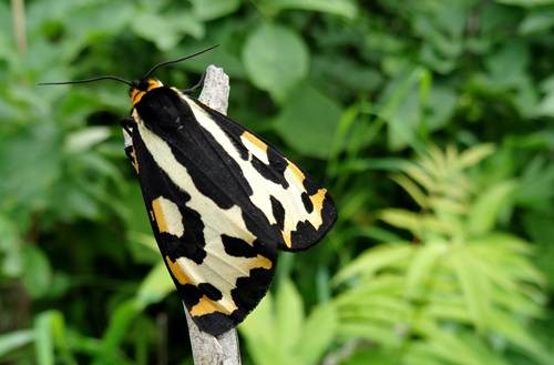 DSC00205
Фотограф: Сергей Буркацкий

Просмотров: 369
Комментариев: 0