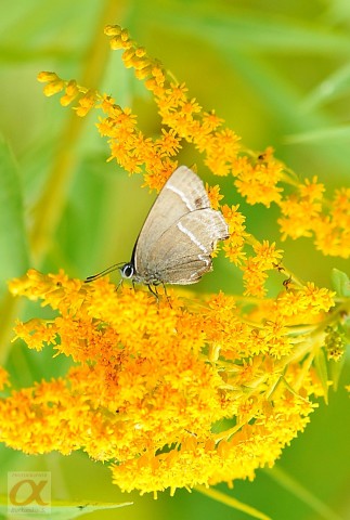 ***
Фотограф: Сергей Буркацкий

Просмотров: 820
Комментариев: 0