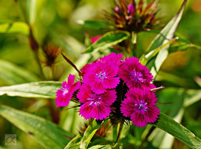 ***

Просмотров: 940
Комментариев: 0