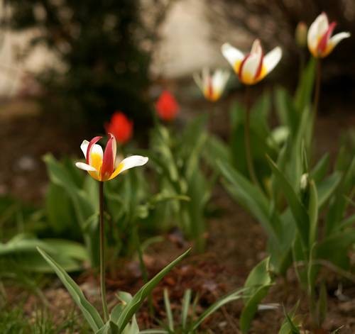 DSC04910
Фотограф: Сергей Буркацкий

Просмотров: 405
Комментариев: 0