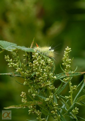 ***
Фотограф: Сергей Буркацкий

Просмотров: 693
Комментариев: 0