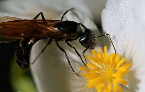 DSC05503
Фотограф: Сергей Буркацкий

Просмотров: 370
Комментариев: 0